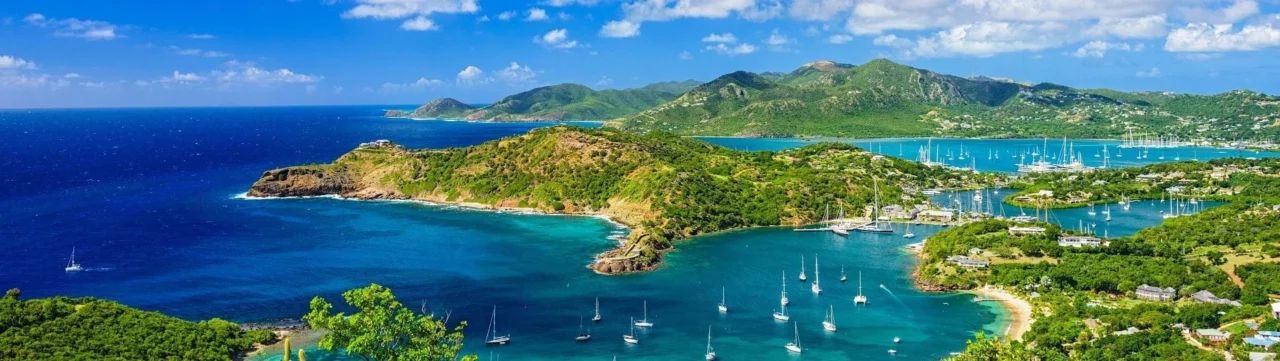 Antigua and Barbuda Authorised Representative