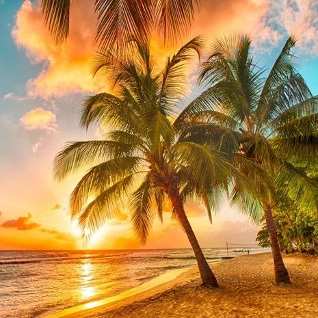 Caribbean Citizenship Investment Programmes to Double in Price