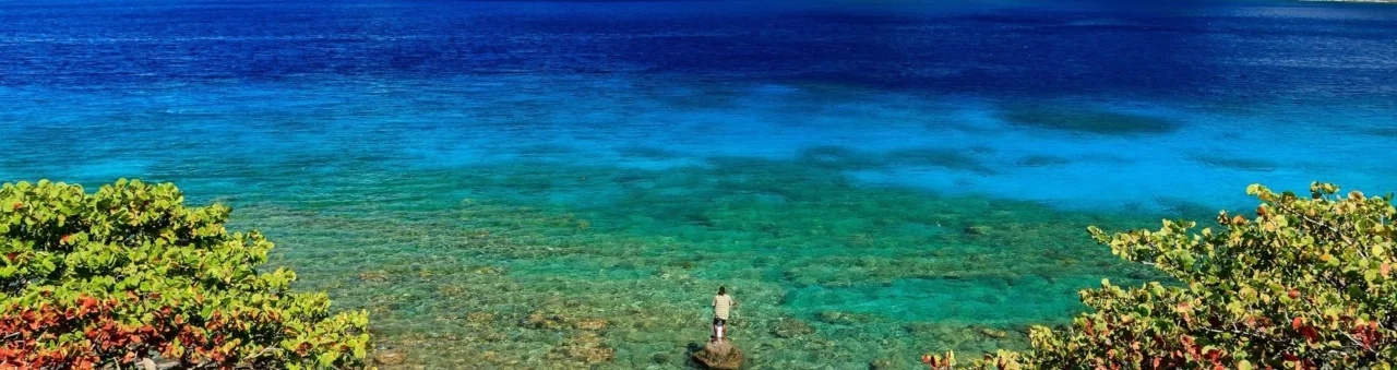 Dominica Reduce Citizenship Fees