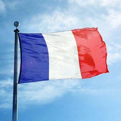 France Passport Investment