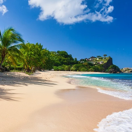 Grenada CBI Goes Digital