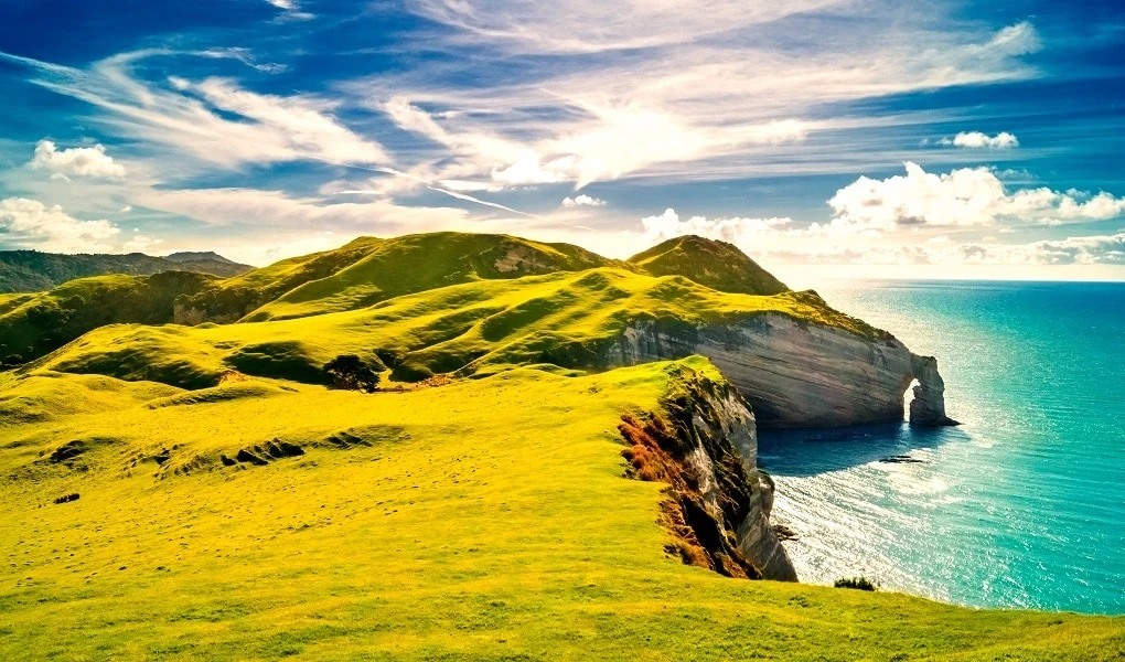 Ireland Investor Visa