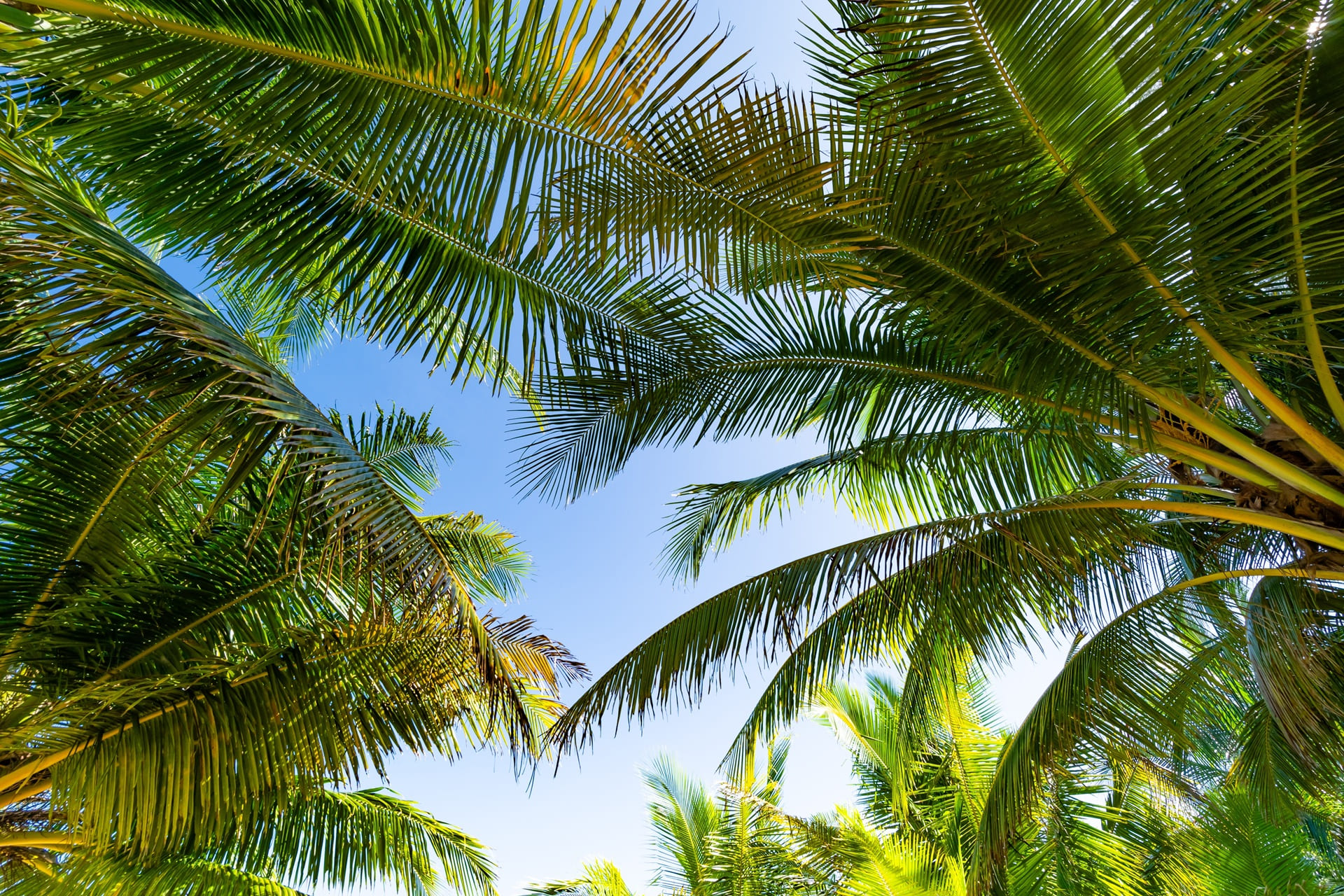 Nauru Reduces Citizenship Investment Limited Time Offer