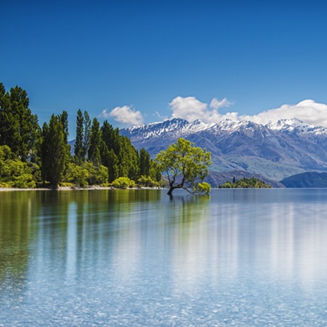 Why New Zealand is a Top Tier Destination for Global Investors