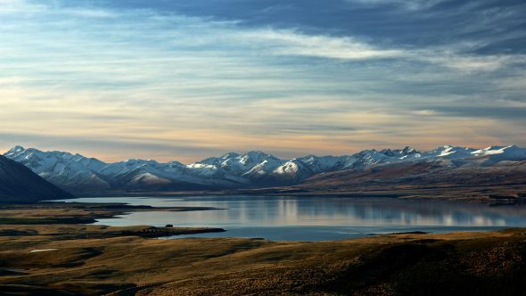 New Zealand Investor Visa New Data Shows Processing Times, Thresholds, and Where Applicants Come From