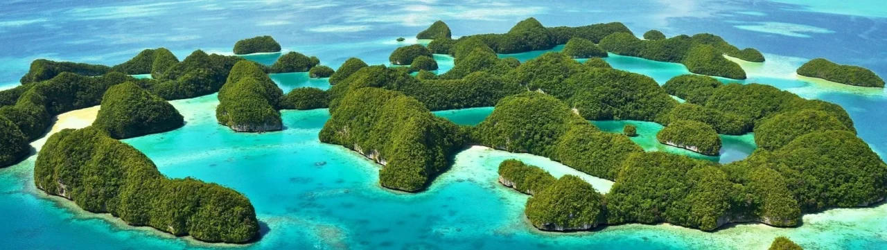 Pacific Islands and Future Citizenship Programs