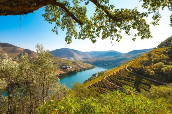 Portugal Agro Fund
