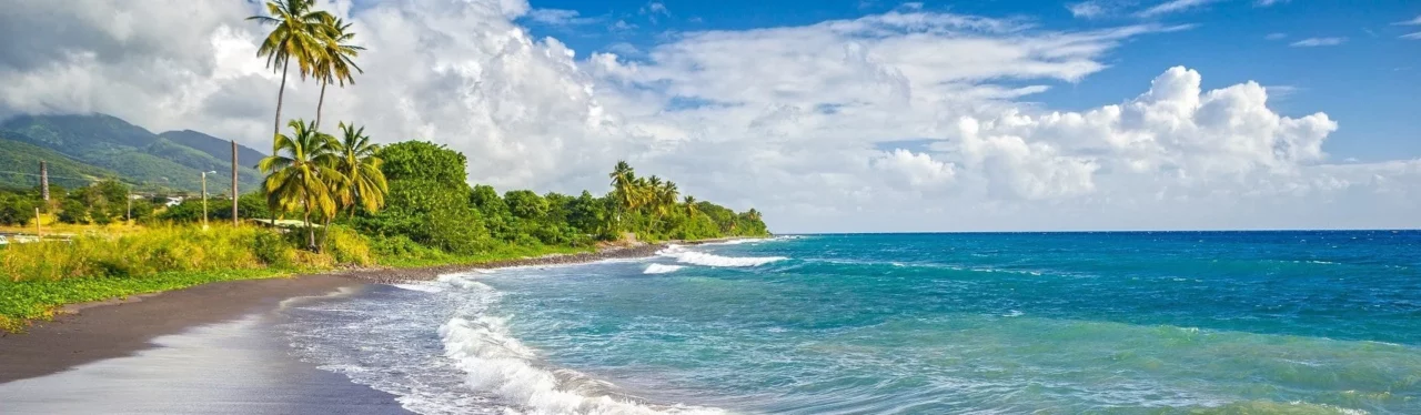 St Kitts Approved International Agent