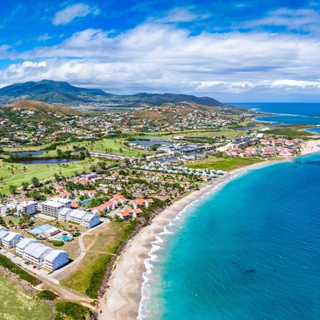 St Kitts CBI New Family Terms