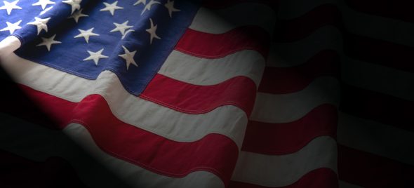 USA Golden Visa Investor Survey 2025