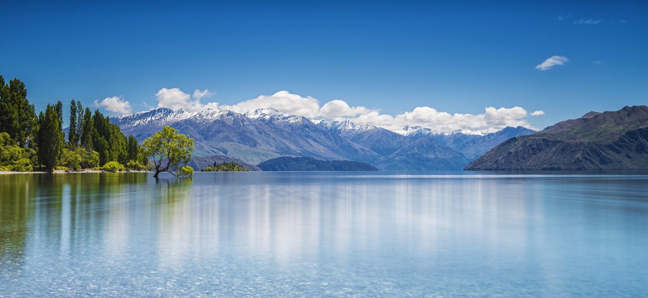 Why New Zealand is a Top Tier Destination for Global Investors