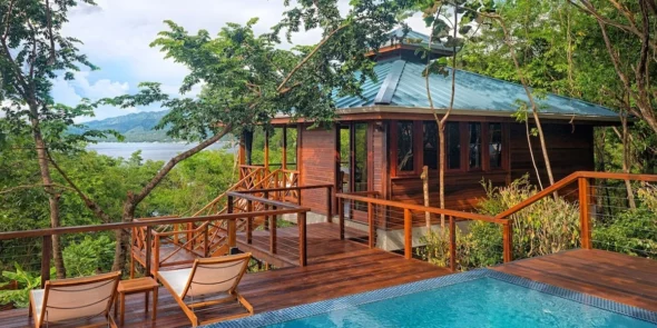 Secret Bay Poolside